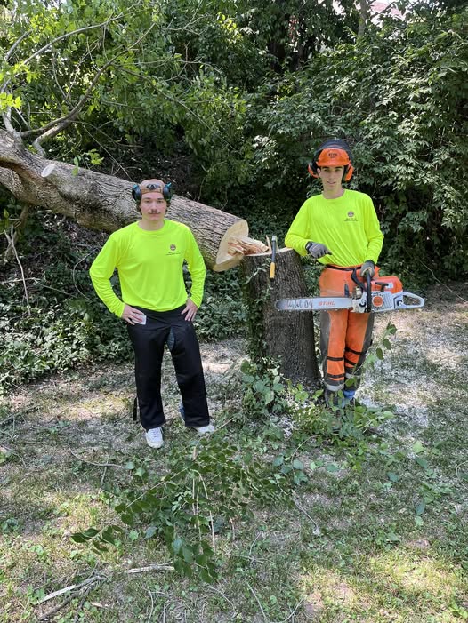 Caleb and Maddox of 4Man Tree Services