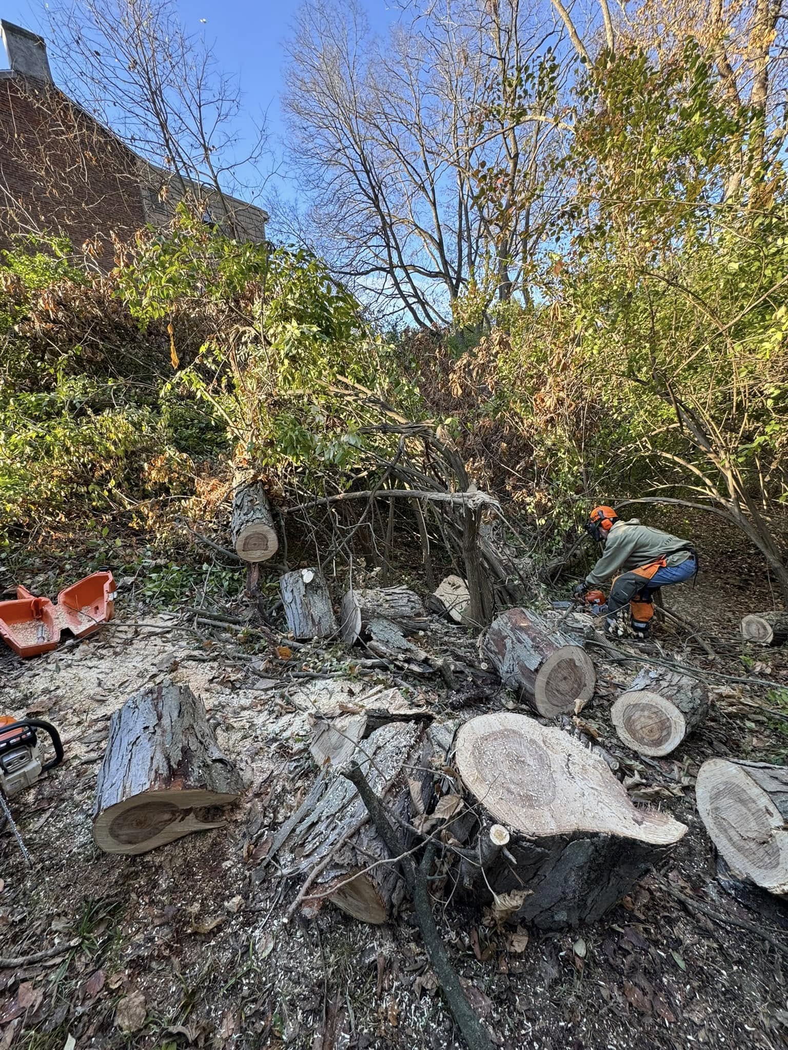 Storm cleanup service
