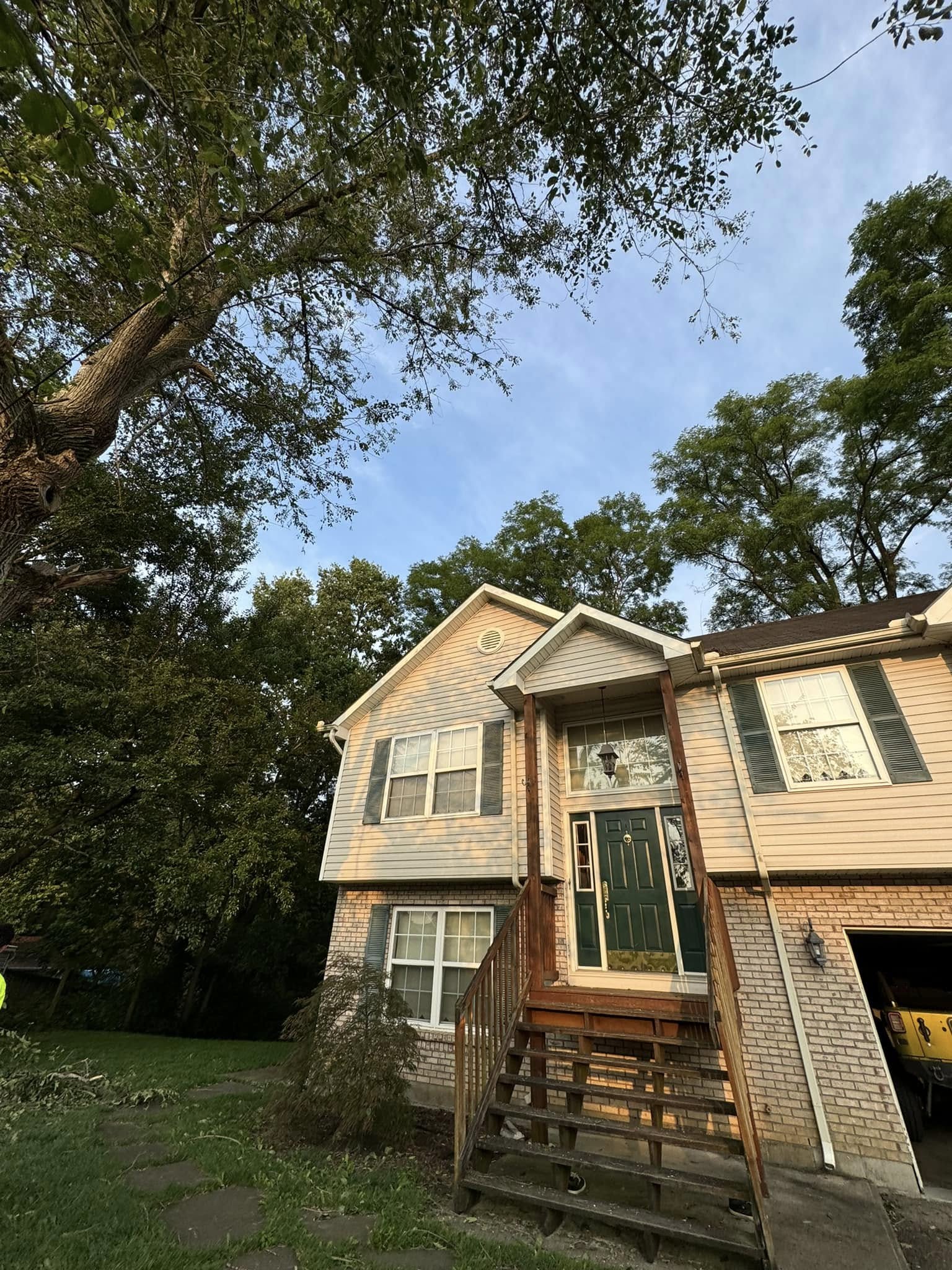 Tree trimming after